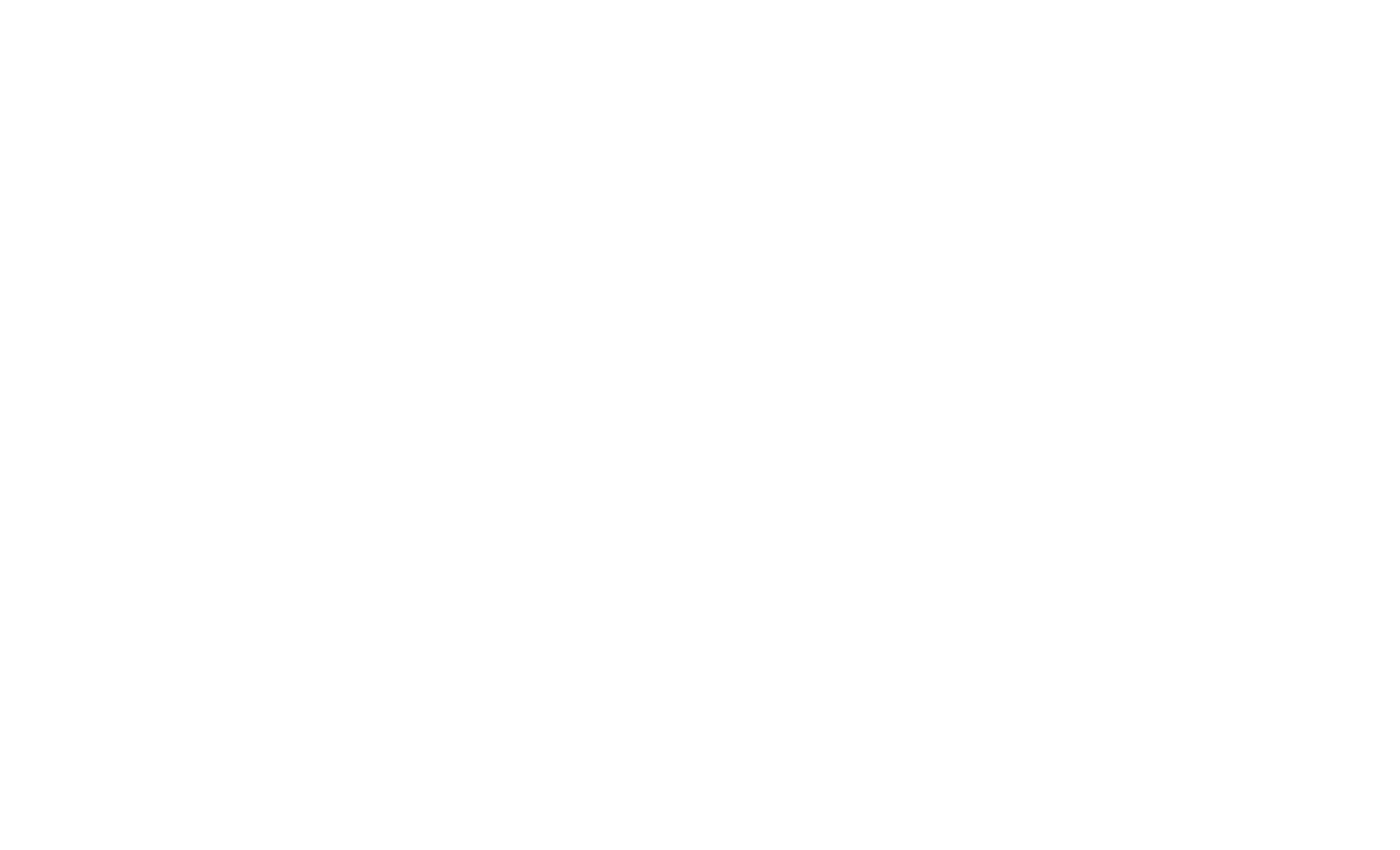 radiul-mobile-tire-logo-white